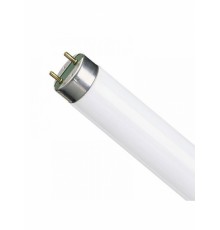 Аквариумная лампа Т8 белого света 10 Ватт, 34,5 см.
